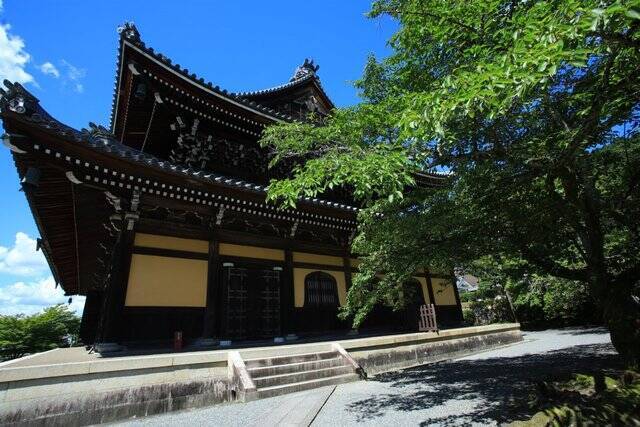 【南禅寺】古都の雅やかな夏の情景。穴場的な蓮池、壮大な三門と水路閣、青もみじ【京都花めぐり】