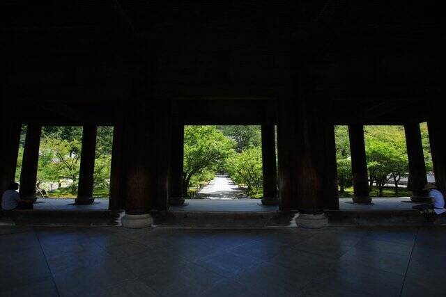 【南禅寺】古都の雅やかな夏の情景。穴場的な蓮池、壮大な三門と水路閣、青もみじ【京都花めぐり】