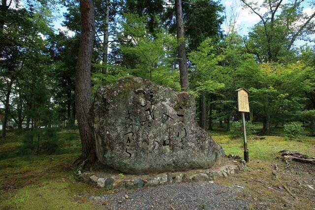 【南禅寺】古都の雅やかな夏の情景。穴場的な蓮池、壮大な三門と水路閣、青もみじ【京都花めぐり】