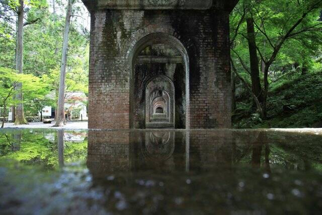 【南禅寺】古都の雅やかな夏の情景。穴場的な蓮池、壮大な三門と水路閣、青もみじ【京都花めぐり】