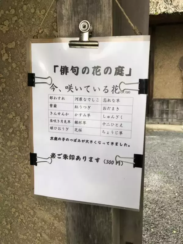 「【京都ぶらり】プレバト俳句ファン必訪！松尾芭蕉ゆかりの草庵で一句「落柿舎」」の画像