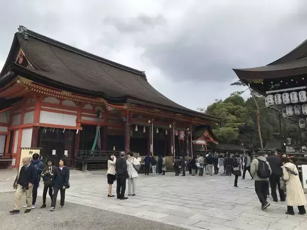 「【2019京都桜情報】ワールドワイドな観光スポット祇園の桜パトロール☆八坂神社～円山公園～祇園白川」の画像