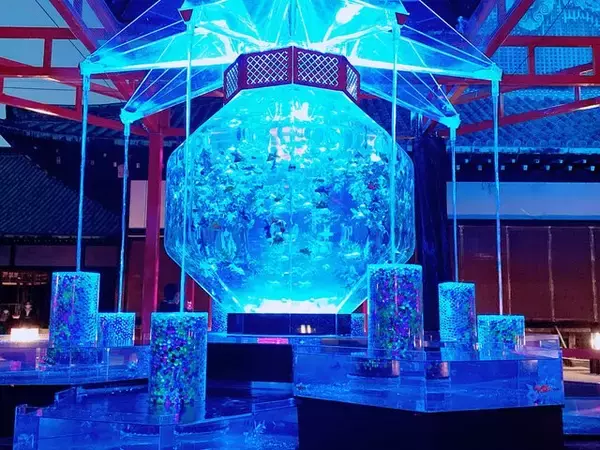 「10月14日から世界遺産・二条城に金魚舞う「アートアクアリウム城」スタート」の画像