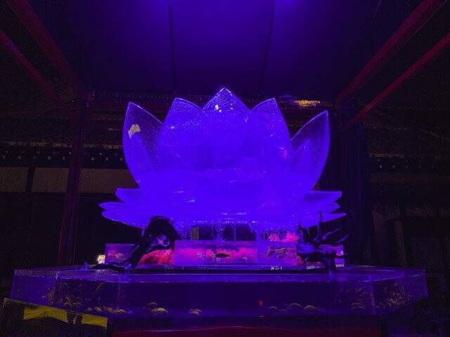 10月14日から世界遺産・二条城に金魚舞う「アートアクアリウム城」スタート