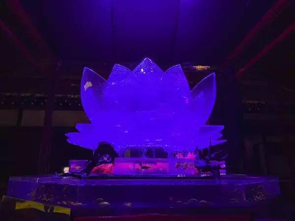 「10月14日から世界遺産・二条城に金魚舞う「アートアクアリウム城」スタート」の画像