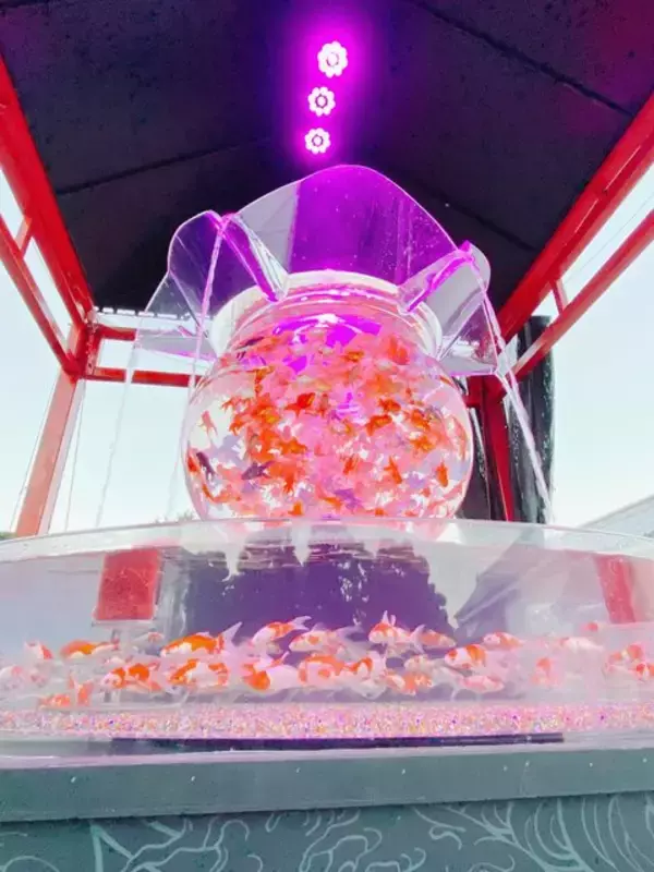 「10月14日から世界遺産・二条城に金魚舞う「アートアクアリウム城」スタート」の画像