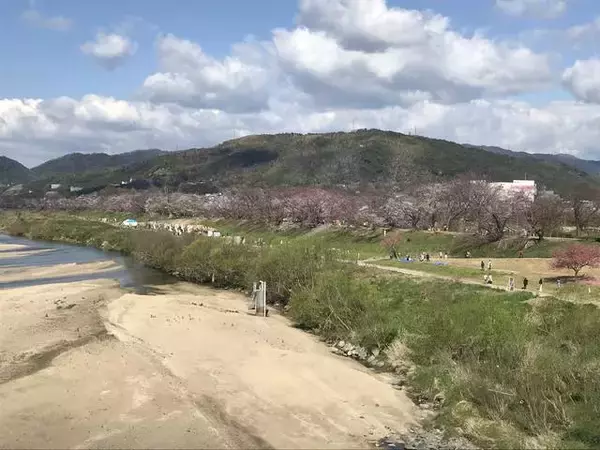 「【京都ポタリング】自転車で秋の名所めぐり！桂川ＣＲで紅葉スポット嵐山～松尾大社～石清水八幡宮」の画像