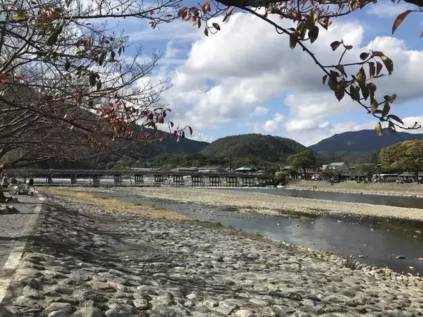 【京都ポタリング】自転車で秋の名所めぐり！桂川ＣＲで紅葉スポット嵐山～松尾大社～石清水八幡宮