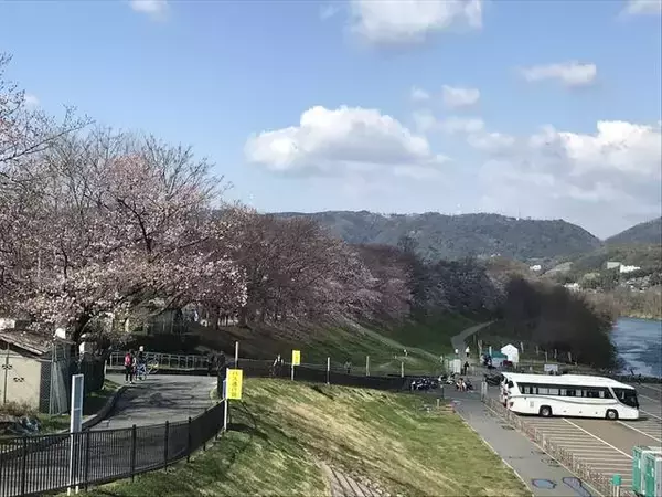 「【京都ポタリング】自転車で秋の名所めぐり！桂川ＣＲで紅葉スポット嵐山～松尾大社～石清水八幡宮」の画像