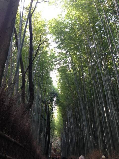 京都 嵐山観光 で訪れたい人気スポット特集 定番から穴場まで 年11月17日 エキサイトニュース