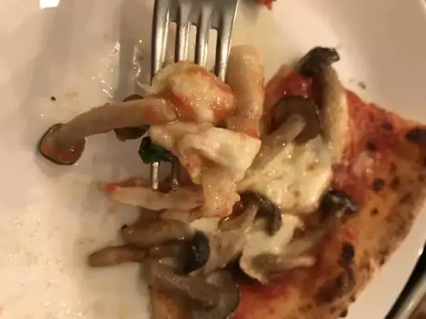 「【京都ランチ】山科の穴場グルメ！薪窯焼きの本格ナポリピッツァが大人気「 Pizza Pascibo（ピッツァ パスチーボ）」」の画像