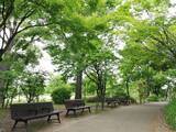 「京都のパン屋さん【SIZUYA (志津屋)】の美味しい“オムレツサンド”を梅小路公園で食べる」の画像11
