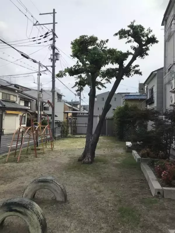 「【京都ぶらり】町の区画にある細い通り『図子』☆かつての寺院跡の名残り「革堂図子（こうどうずし）」」の画像