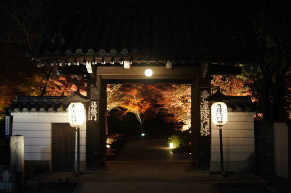 19年 京都の紅葉ライトアップ 京の都始まりの地 将軍塚青龍殿 から見下ろす紅葉と京の町 17年12月1日 エキサイトニュース