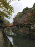 「【2019京都紅葉最新】水面に映る紅葉並木もまた絶景！遊歩道の散策コースは憩いスポット☆「山科疏水」」の画像2