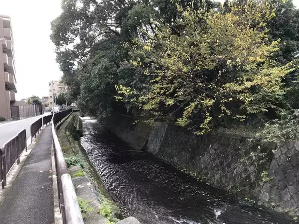 「【京都文人めぐり】教科書にも登場する名作『城の崎にて』の作者！作品にも登場☆「志賀直哉旧居跡」」の画像