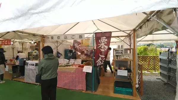 「【コスモス】関西最大級！800万本のコスモスが咲き誇る『亀岡夢コスモス園』【京都花めぐり】」の画像