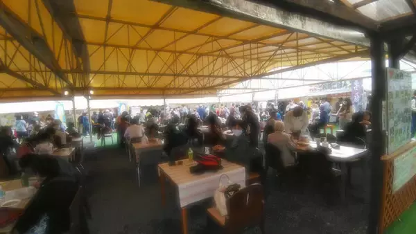 「【コスモス】関西最大級！800万本のコスモスが咲き誇る『亀岡夢コスモス園』【京都花めぐり】」の画像