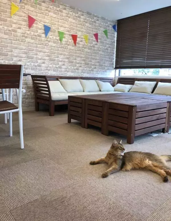 「リニューアル！「石焼生パスタ蔵之助のしっぽ」☆名物・石焼パンケーキが絶品‼︎」の画像