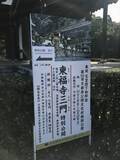 「【まとめ】京都がもっと”好き”になるKyotopiライター・豆はなが2019年を振り返る５大ニュース☆」の画像5