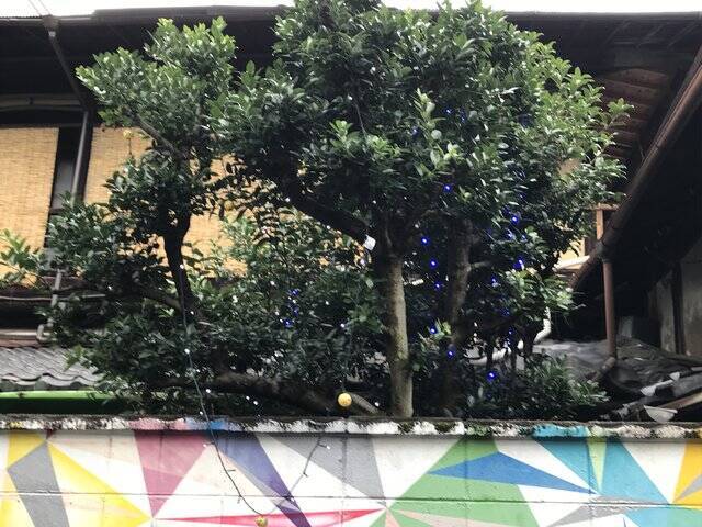 【京都銭湯めぐり】歓楽街激近の昭和風情漂う西陣のレトロ湯！金土日限定のアヒル湯も☆「京極湯」