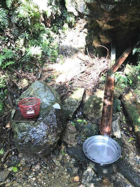 京都夏山 愛宕神社 火廼要慎 でおなじみの霊山 コロナ禍で異例の分散型千日詣 愛宕山 年8月2日 エキサイトニュース