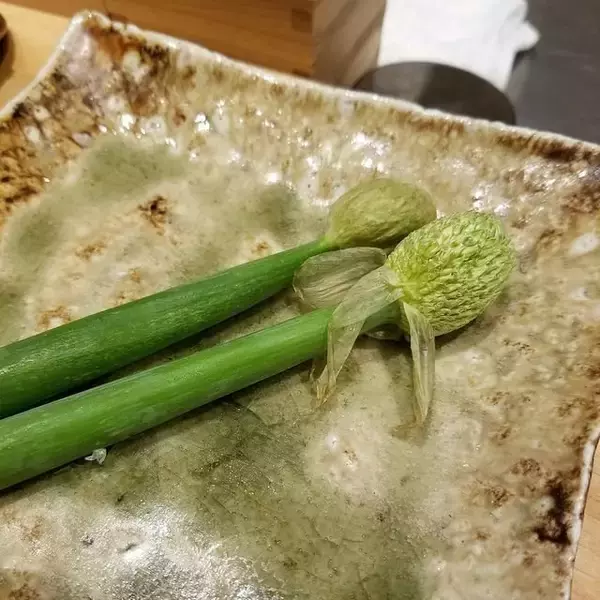 「名店仕込みの確かな味、三条会商店街近くの和食店「征木（まさき）」」の画像