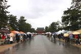 「ヒットの予感！？毎月開催「平安蚤の市」の第１回目が開催されました！【京都・岡崎公園】」の画像1