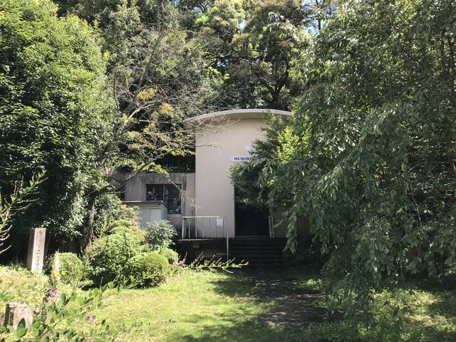 【京都珍百景】東山にそびえるド迫力の大仏！京都では希少な胎内めぐりも☆「霊山観音（りょうぜんかんのん）」