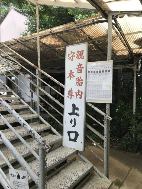【京都珍百景】東山にそびえるド迫力の大仏！京都では希少な胎内めぐりも☆「霊山観音（りょうぜんかんのん）」