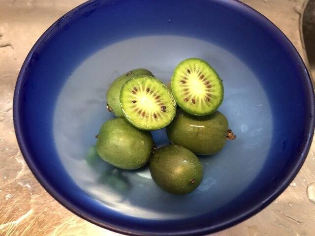 【四条烏丸】京都の有名料理人も御用達の新鮮＆レア野菜充実「八百屋みどりなす」