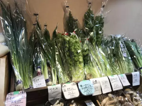 「【四条烏丸】京都の有名料理人も御用達の新鮮＆レア野菜充実「八百屋みどりなす」」の画像