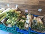 「【四条烏丸】京都の有名料理人も御用達の新鮮＆レア野菜充実「八百屋みどりなす」」の画像4