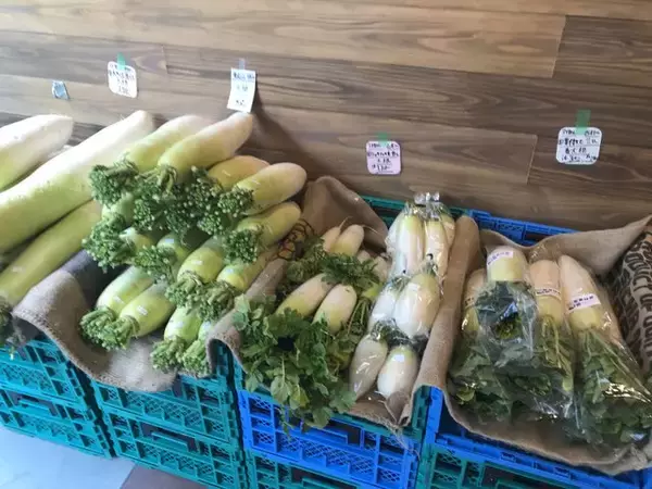 「【四条烏丸】京都の有名料理人も御用達の新鮮＆レア野菜充実「八百屋みどりなす」」の画像