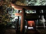 「【京都紅葉スポット】紅葉の赤、静寂の青、幻想的な雰囲気に包まれる『青蓮院門跡』」の画像17