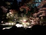 「【京都紅葉スポット】紅葉の赤、静寂の青、幻想的な雰囲気に包まれる『青蓮院門跡』」の画像12