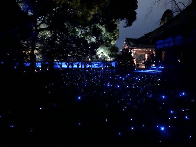 京都紅葉スポット 紅葉の赤 静寂の青 幻想的な雰囲気に包まれる 青蓮院門跡 19年12月5日 エキサイトニュース