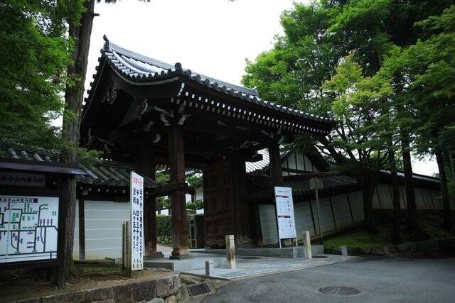 京都花めぐり 神秘的な花 蓮が可憐に咲いていました 東福寺三門 年8月12日 エキサイトニュース