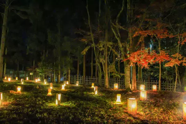 【京都冬の風物詩】冬期限定のライトアップ！新企画が加わり更に幻想的に「嵐山花灯路2019」