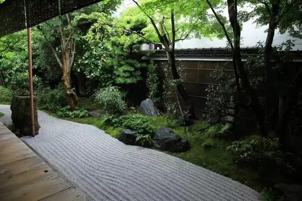 「【特別拝観】新庭園「鶴鳴九皐」が完成、甘茶庭に癒される「建仁寺霊源院」【京都花めぐり】」の画像