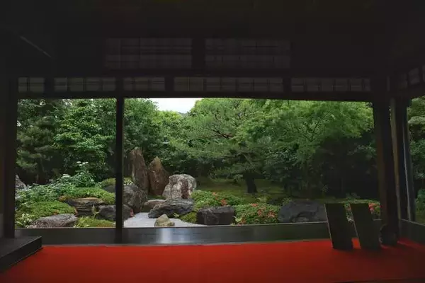 「【特別拝観】新庭園「鶴鳴九皐」が完成、甘茶庭に癒される「建仁寺霊源院」【京都花めぐり】」の画像