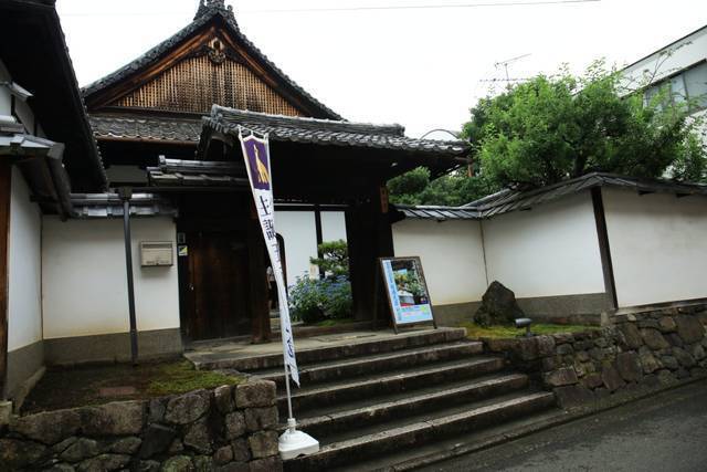 【特別拝観】新庭園「鶴鳴九皐」が完成、甘茶庭に癒される「建仁寺霊源院」【京都花めぐり】