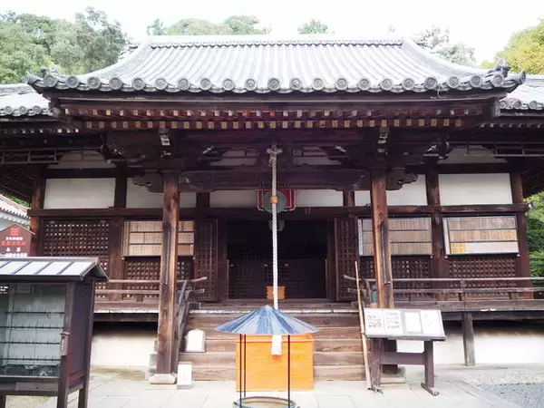 「大河ドラマ『麒麟がくる』ゆかりの地『宝積寺』で福徳を授かろう！」の画像