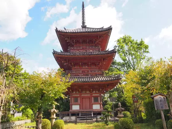 「大河ドラマ『麒麟がくる』ゆかりの地『宝積寺』で福徳を授かろう！」の画像