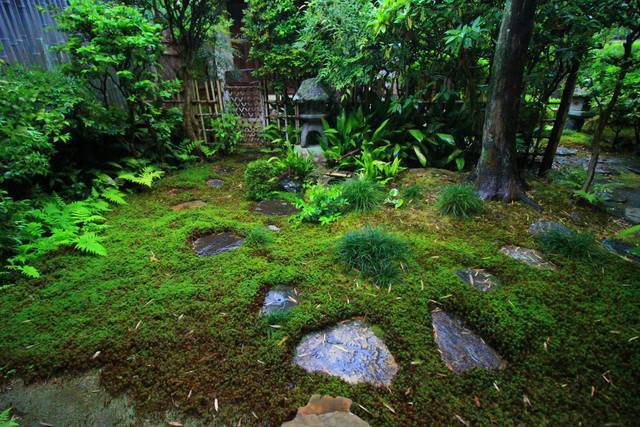 【東福寺】雨の日も美しい。東福寺 塔頭 芬陀院（ふんだんいん）でゆったりと【雨の京都】
