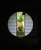 「【東福寺】雨の日も美しい。東福寺 塔頭 芬陀院（ふんだんいん）でゆったりと【雨の京都】」の画像9