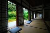 「【東福寺】雨の日も美しい。東福寺 塔頭 芬陀院（ふんだんいん）でゆったりと【雨の京都】」の画像6