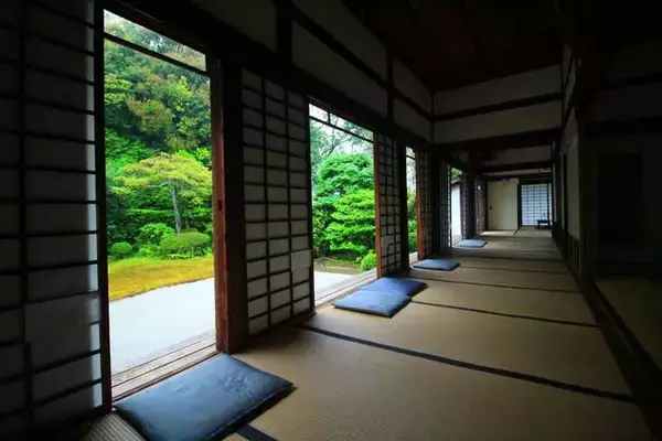 「【東福寺】雨の日も美しい。東福寺 塔頭 芬陀院（ふんだんいん）でゆったりと【雨の京都】」の画像