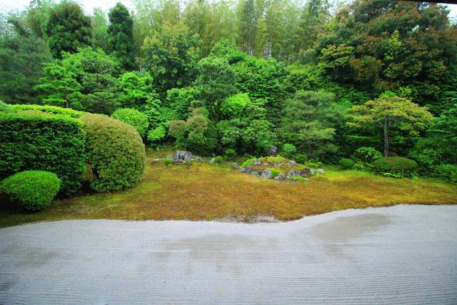 【東福寺】雨の日も美しい。東福寺 塔頭 芬陀院（ふんだんいん）でゆったりと【雨の京都】