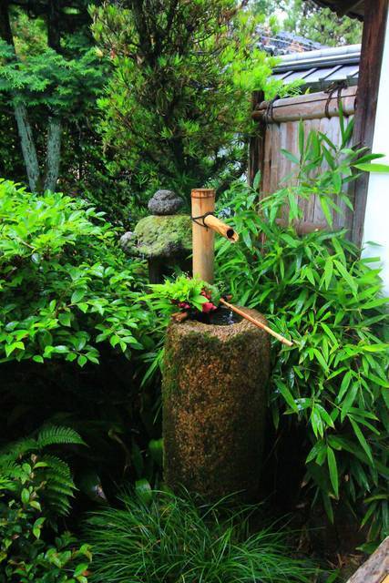 【東福寺】雨の日も美しい。東福寺 塔頭 芬陀院（ふんだんいん）でゆったりと【雨の京都】